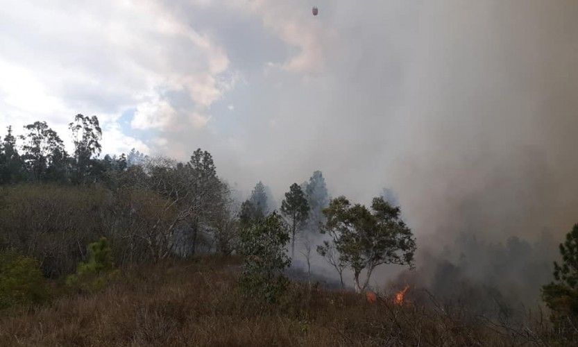 110 ha partis en fumé à Ouégoa