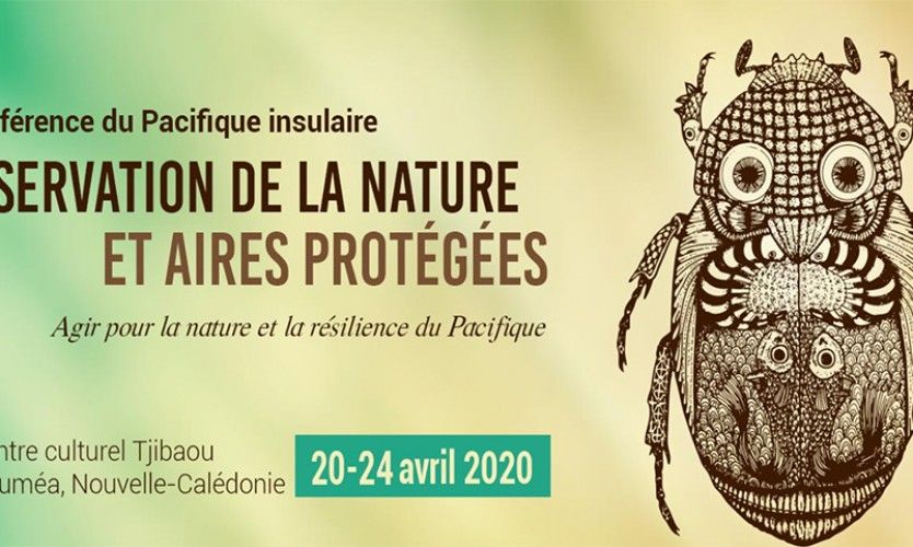 2020, année de l'environnement