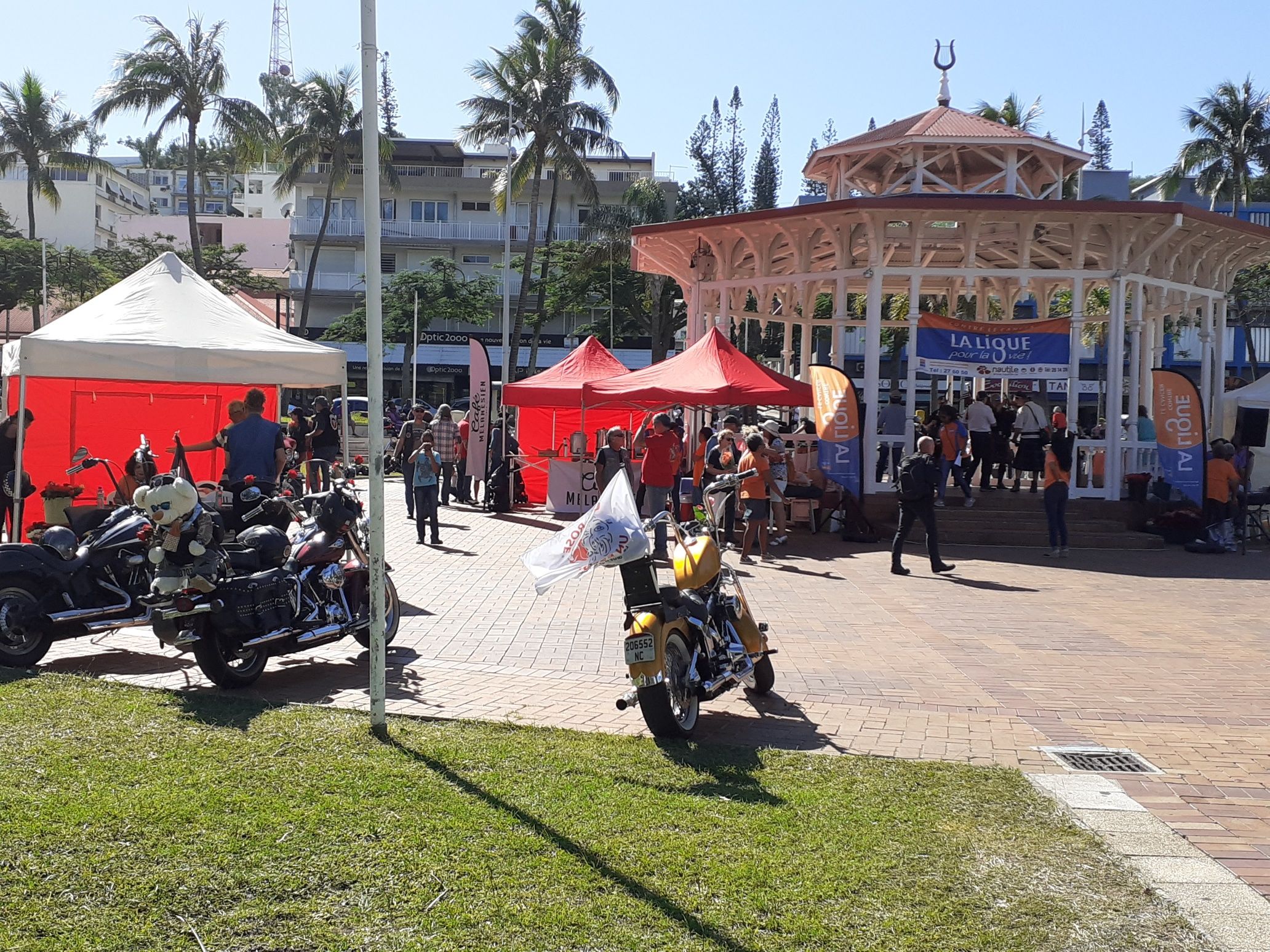 « Une rose, un espoir », des bikers au grand coeur