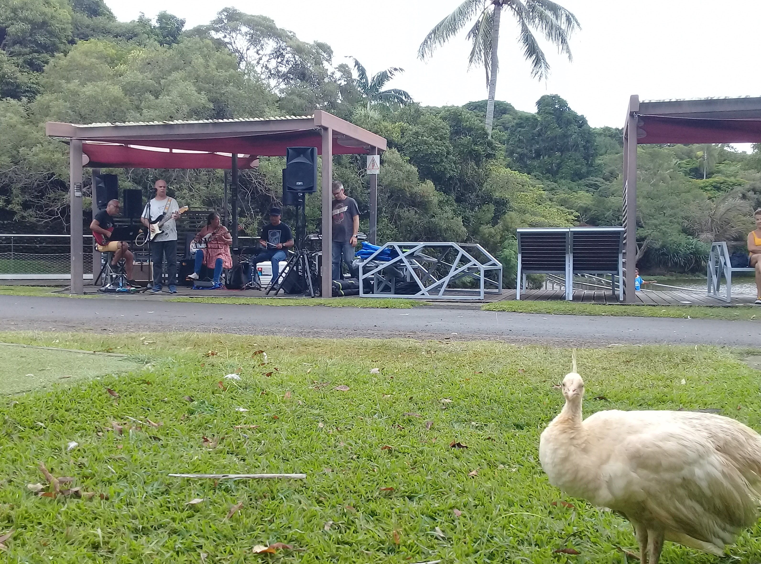 Balade musicale au Parc Forestier !