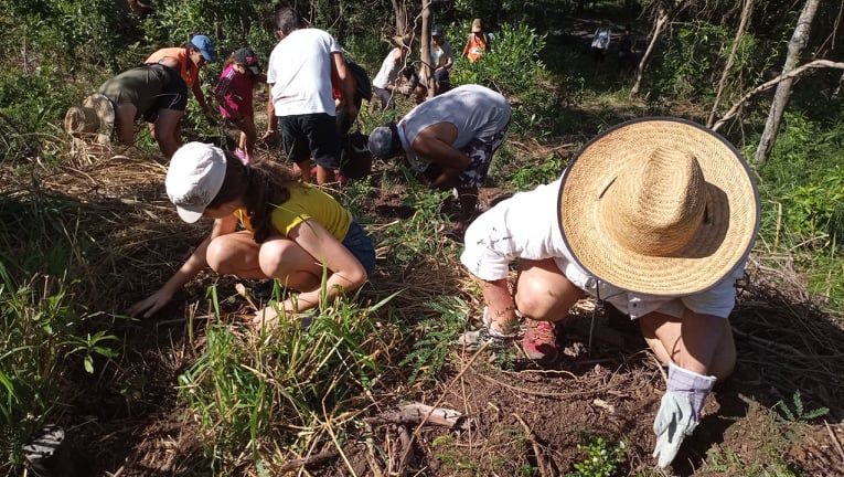 Près de 2.000 arbres plantés au Parc Zoologique et Forestier de la Province Sud