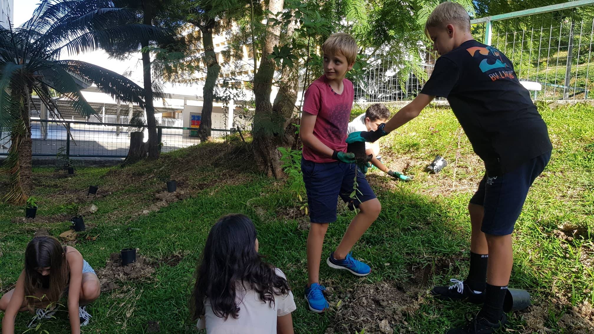 Opération de plantation au collège Mariotti de Nouméa 