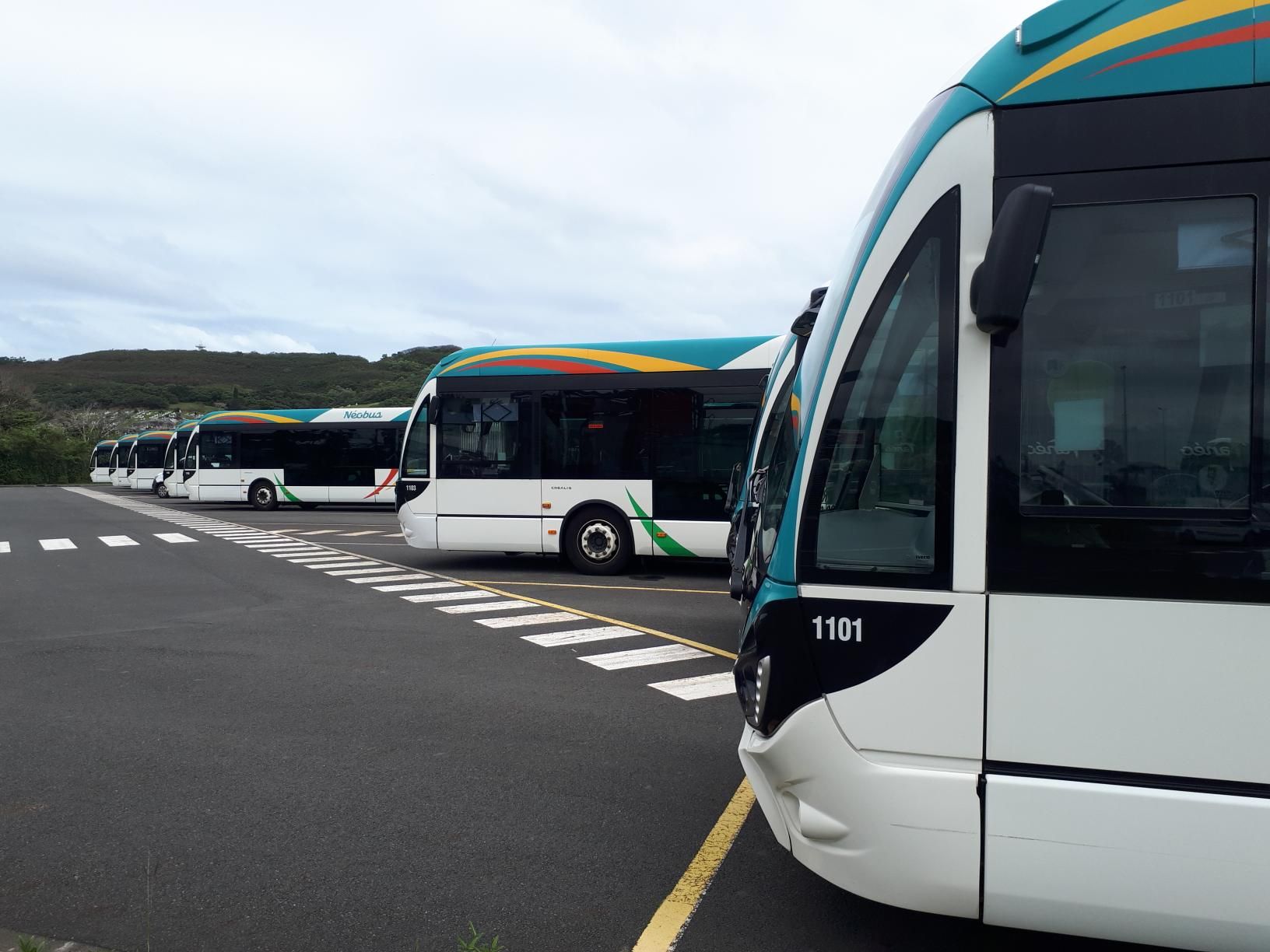 Le ras-le-bol des chauffeurs de bus