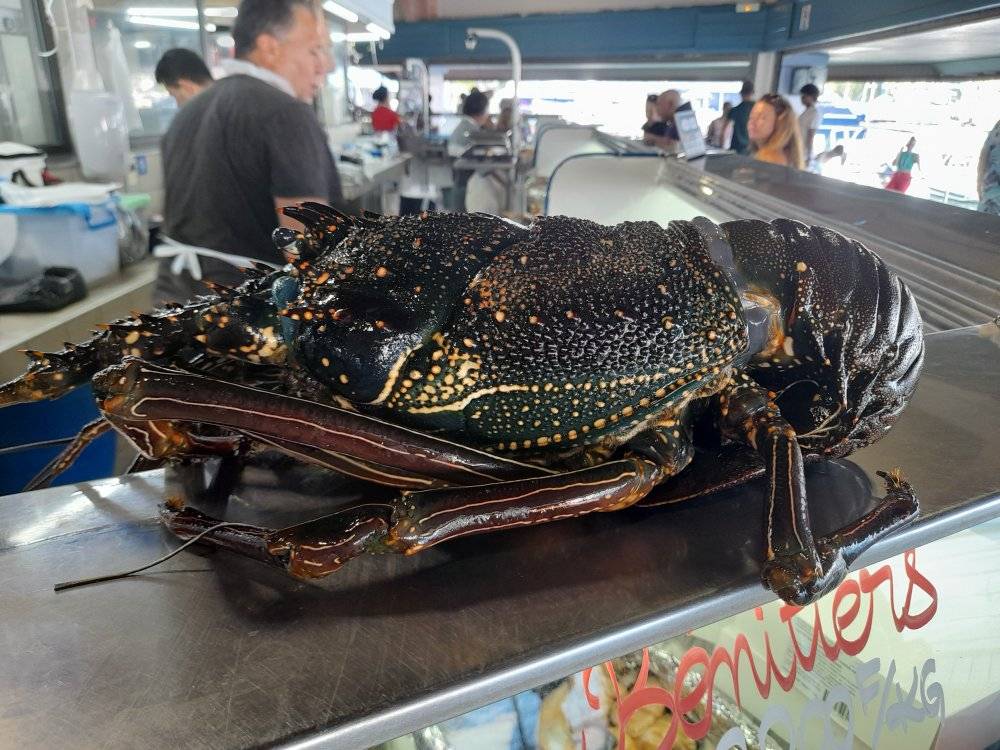 La langouste, star des fêtes !