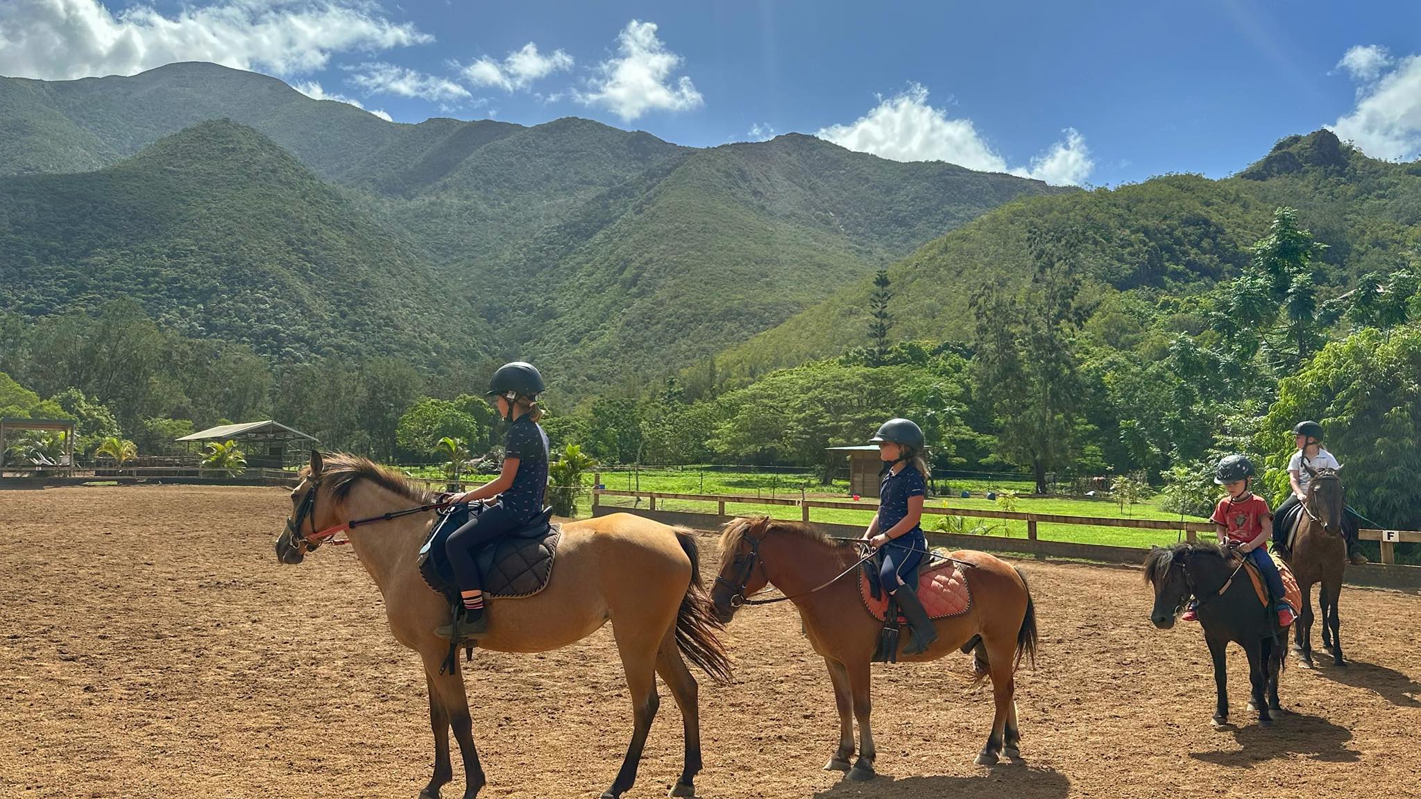 "Tous à cheval" : deux jours pour découvrir l'équitation