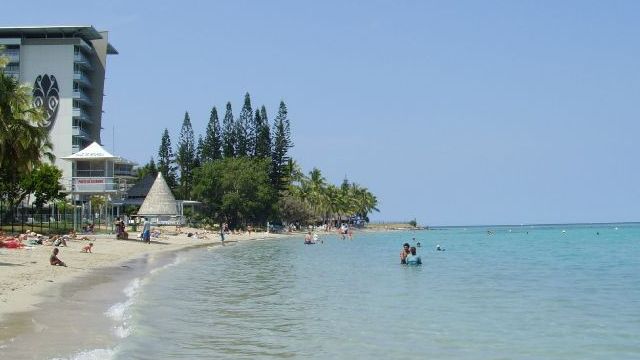 Une morsure de requin sur la plage du Château Royal