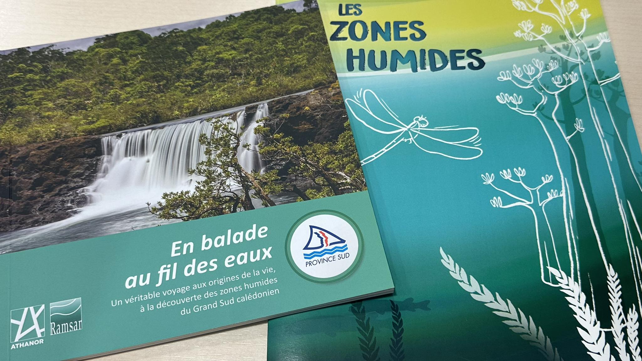 La Province Sud fête cette année les 10 ans de l’inscription des sites des lacs du Grand Sud de Nouvelle-Calédonie à la Convention RAMSAR