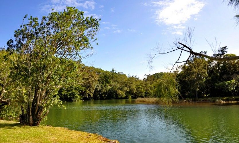 Alerte au requin à Dumbéa
