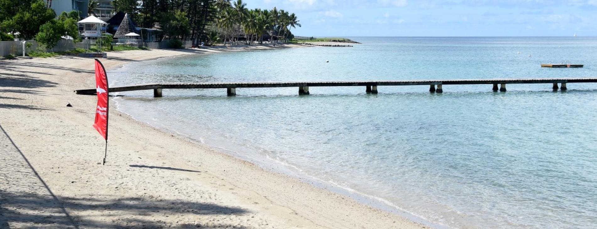 Trois requins à 5-6 mètres de la plage de l’Anse Vata 