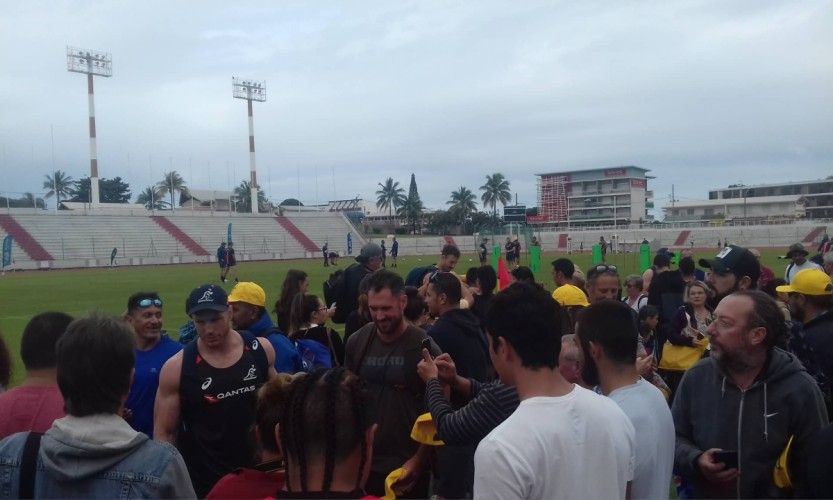 Entrainement des wallabies