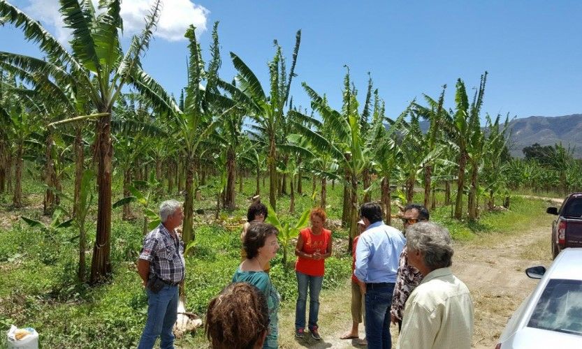 Examen agricole : résultats mitigés