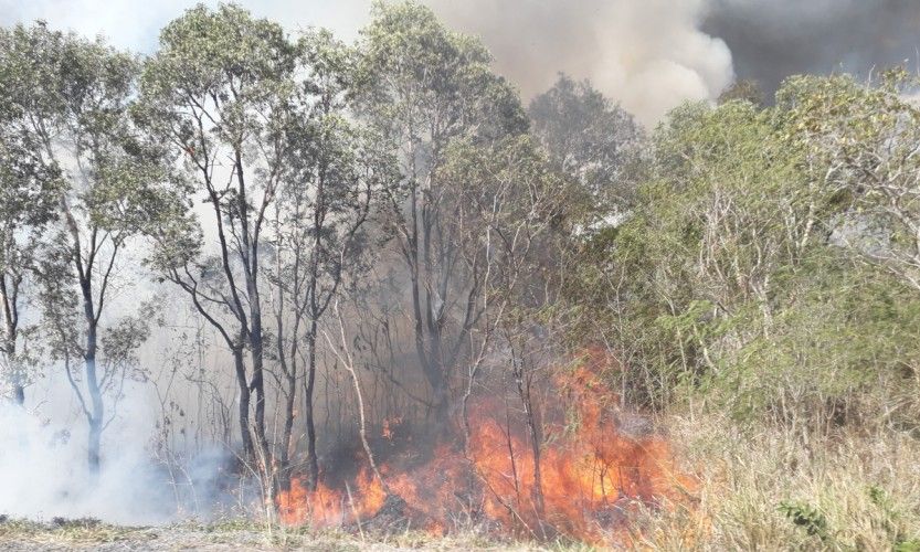 Feu de Bouirou bientôt maîtrisé