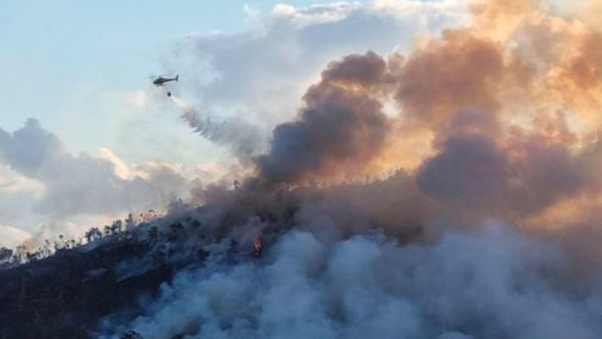 10 hectares détruits dans un incendie au Pic aux Morts