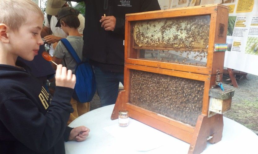 Le miel était dans tous ses états !