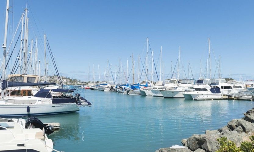 Le requin de Port du Sud abattu