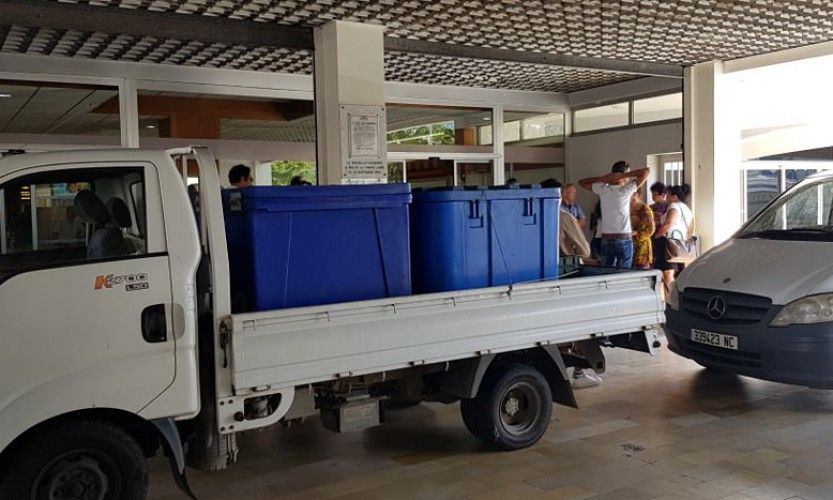 Marché. La poissonnerie délocalisée