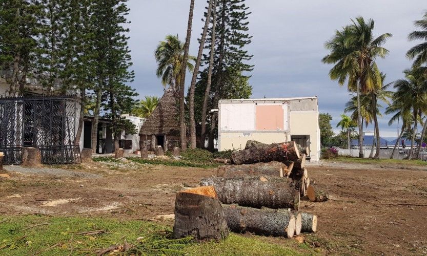 MUZ. Chantier d'abattage à l'arrêt