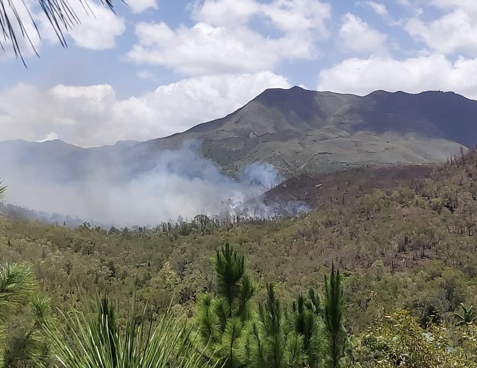 Incendie en cours à Nondoué : 400 hectares déjà partis en fumée