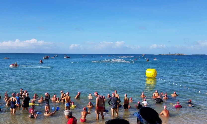 Requin. Epreuve d'eau libre annulée