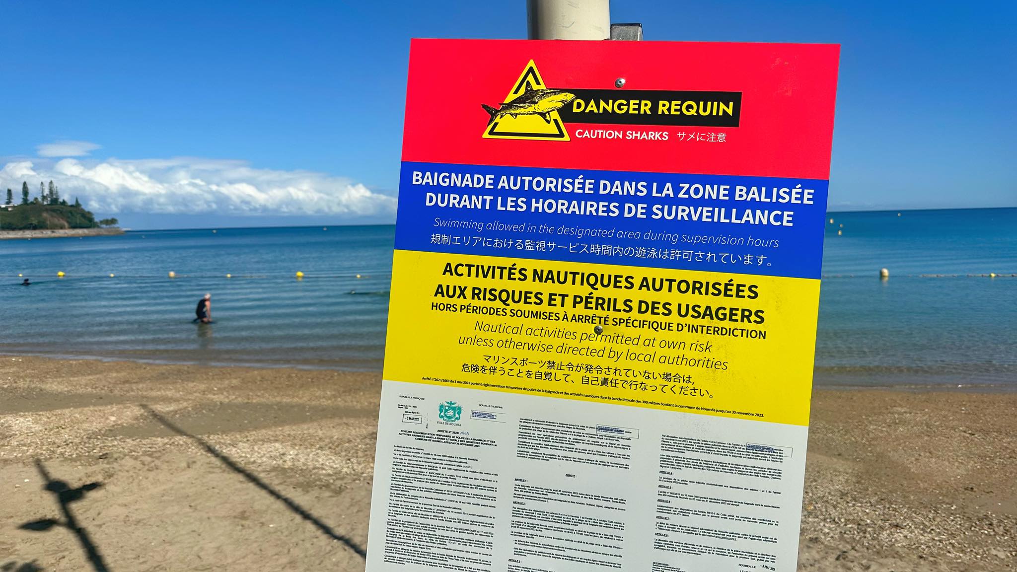 Requin : Les campagnes de régulation suspendues