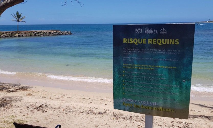 Interdiction de baignade jusqu'au lundi 13 février à Nouméa