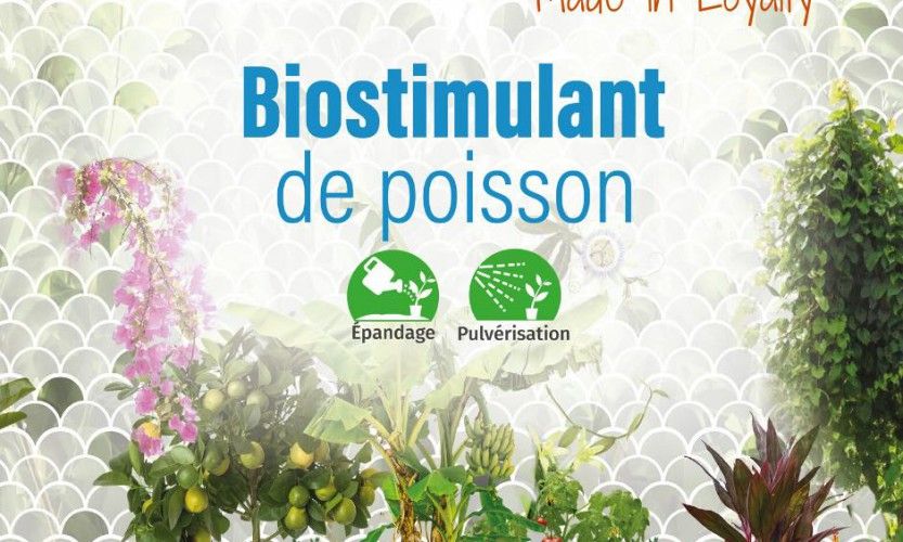 Un engrais de poisson commercialisé